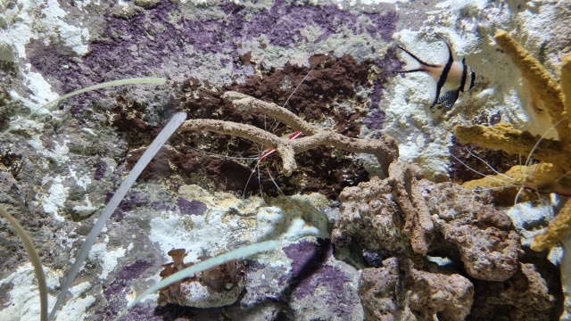 ../images/fotoalbum/lanzarote23/2023-09-18 10.49.06